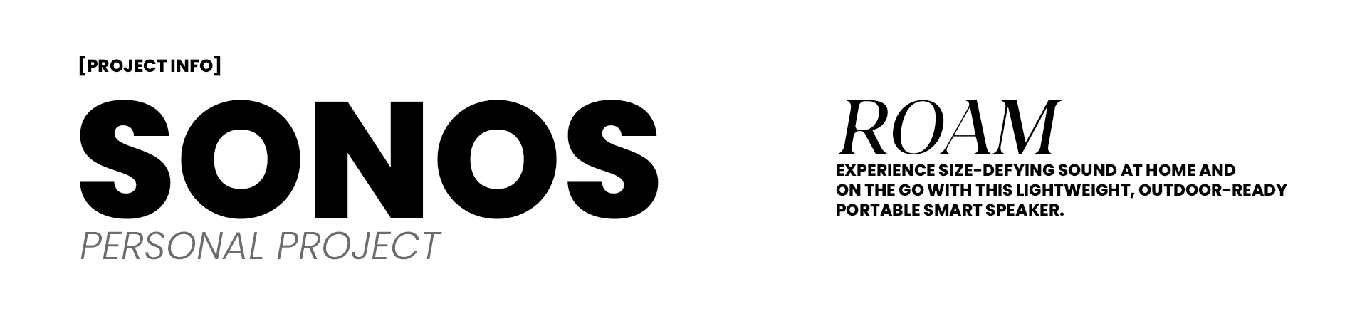 Sonos Roam — Product visualization, visual 2